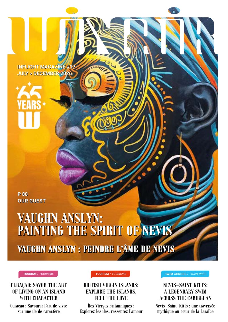 Issue #17 cover